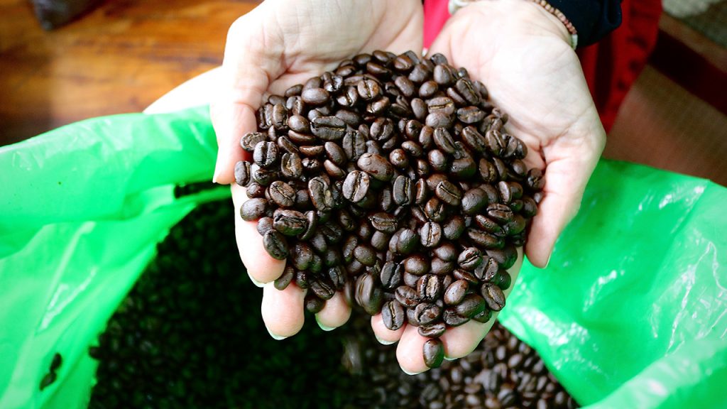 41&Change coffee beans